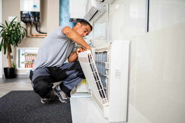 Best Home Air Vent Cleaning  in Springville, AL