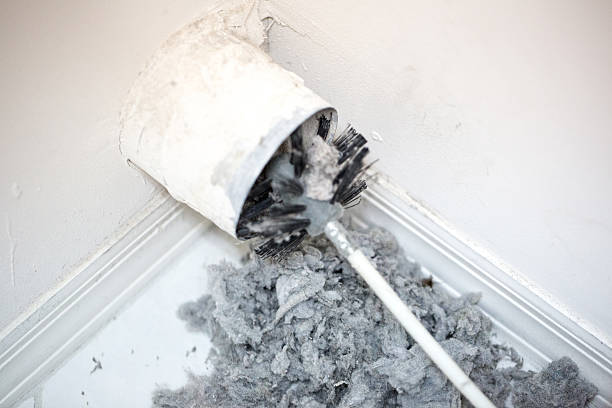 Air Duct Mold Removal in Springville, AL